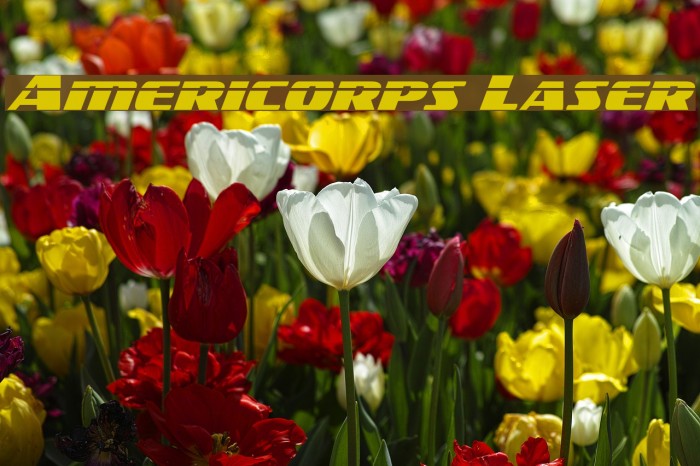 Americorps Laser Font examples