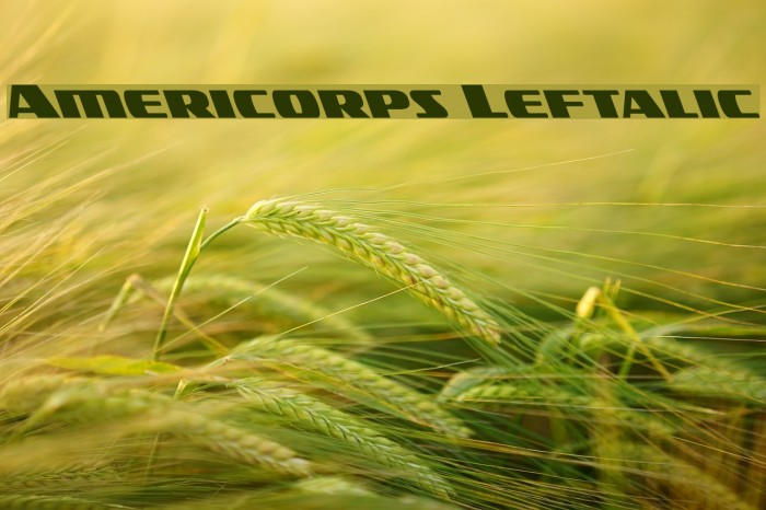 Americorps Leftalic Font examples