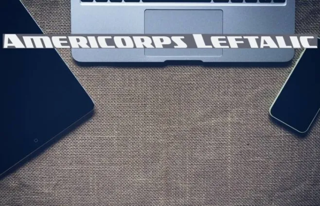 Americorps Leftalic Example 3