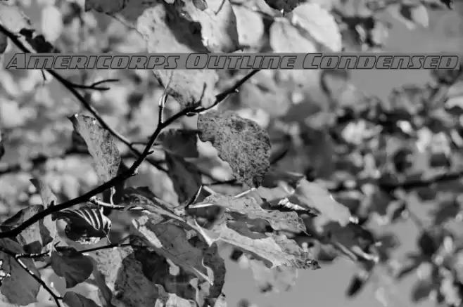 Americorps Outline Condensed Font examples