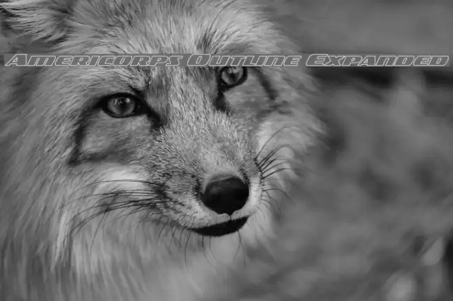 Americorps Outline Expanded Font examples