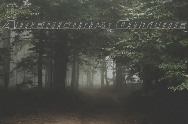 Americorps Outline Example 2