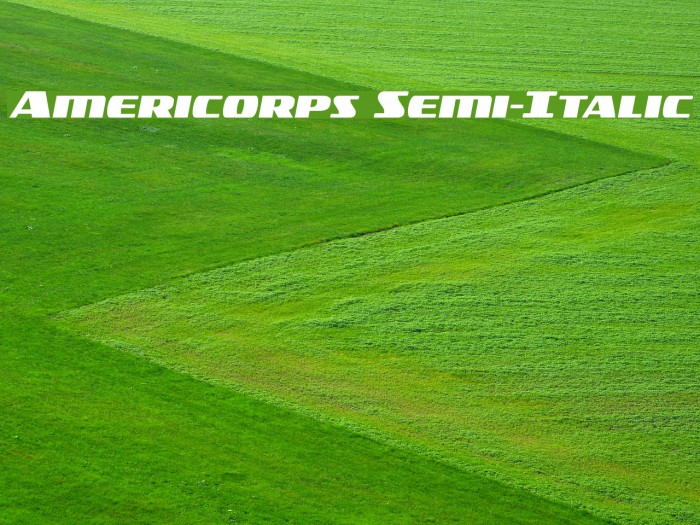Americorps Semi-Italic Font examples