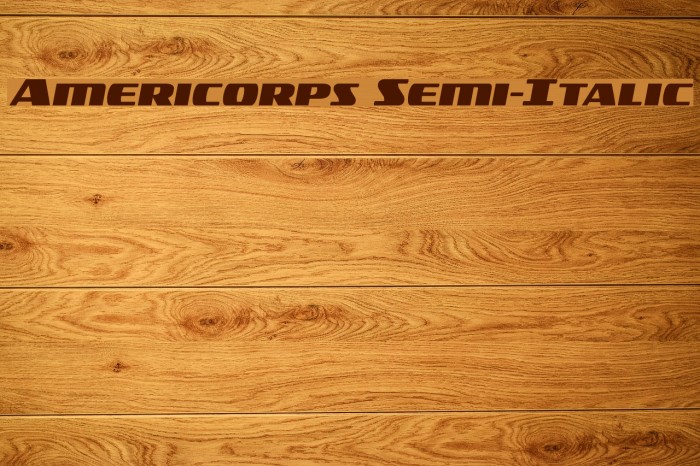 Americorps Semi-Italic Font examples