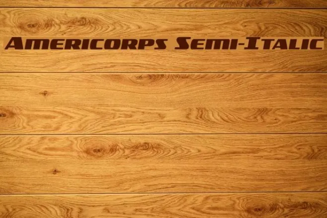 Americorps Semi-Italic Example 3