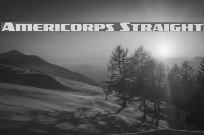 Americorps Straight Font examples