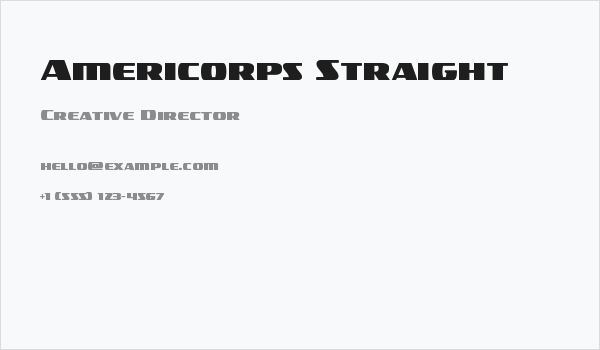Americorps Straight Business Card