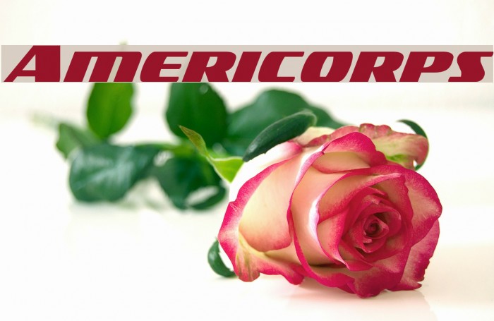 Americorps Font examples