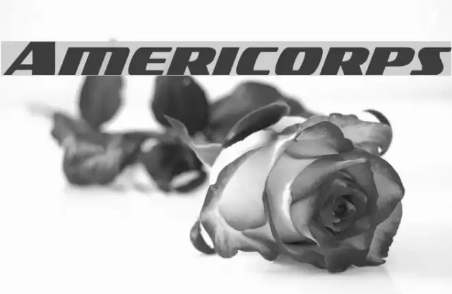 Americorps Font examples