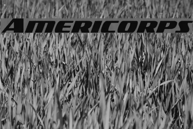Americorps Font examples