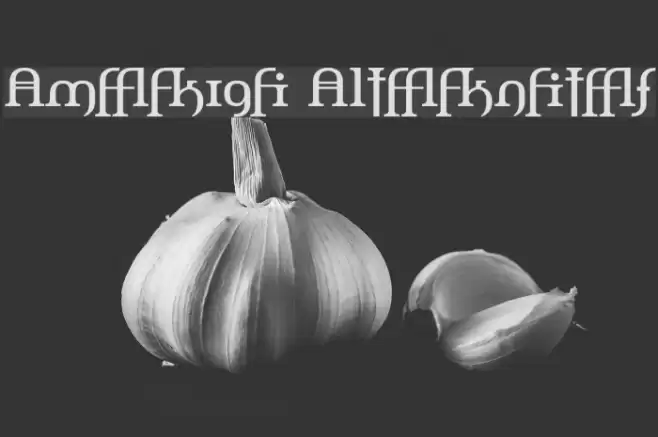 Amerika Alternates Font examples