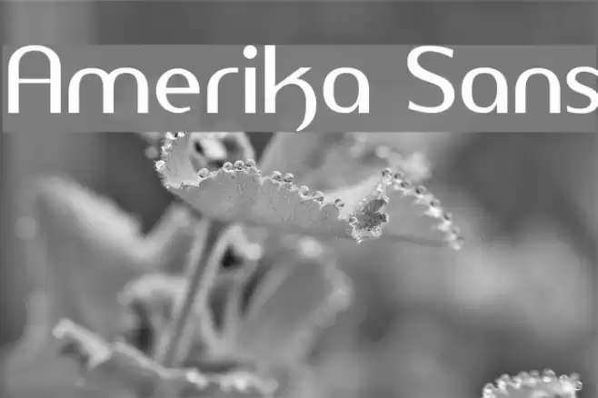 Amerika Sans Schriftart examples