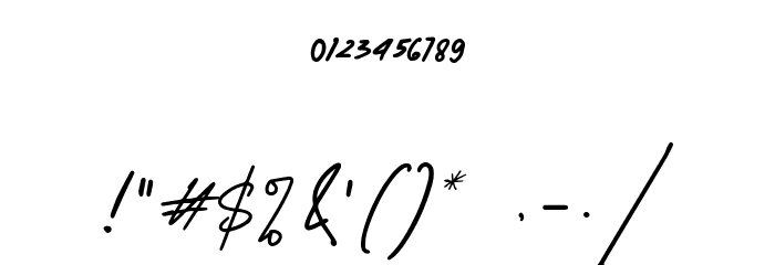 Amerika Signature Demo Regular Font OTHER CHARS