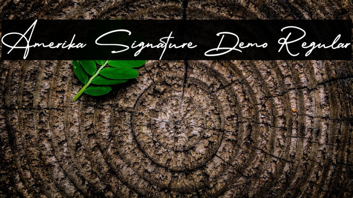Amerika Signature Demo Regular Example 1