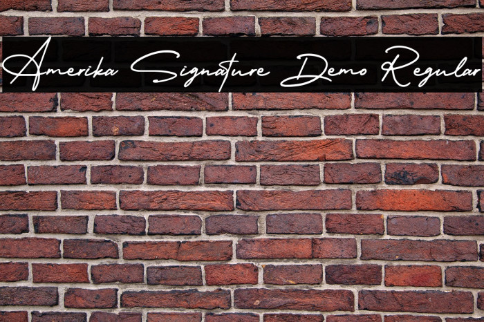 Amerika Signature Demo Regular Example 2