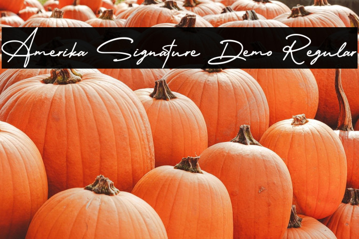 Amerika Signature Demo Regular Example 3