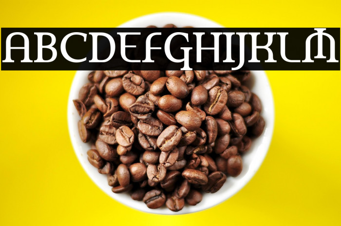 AmerikaPro Example 1