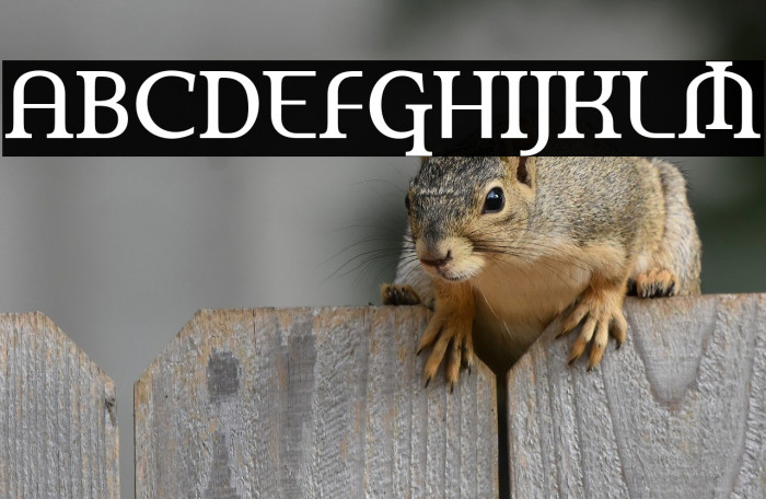 AmerikaPro Example 2