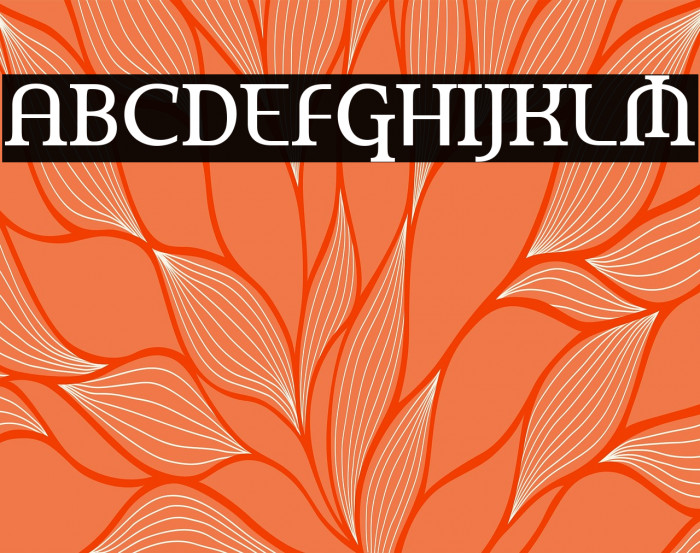 AmerikaPro Example 3