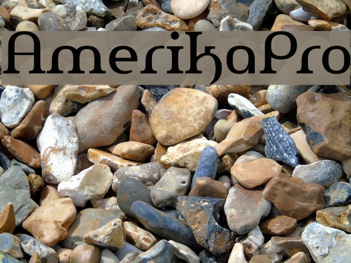 AmerikaPro Example 2