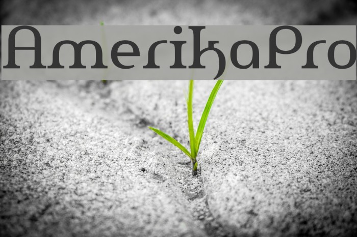 AmerikaPro Example 3