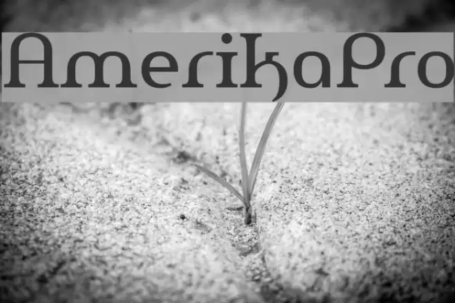 AmerikaPro Font examples