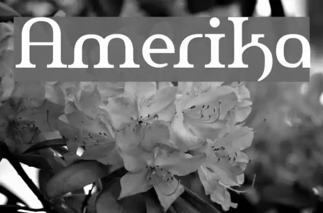 Amerika Font examples