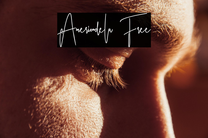 Ameriondela Free Example 1