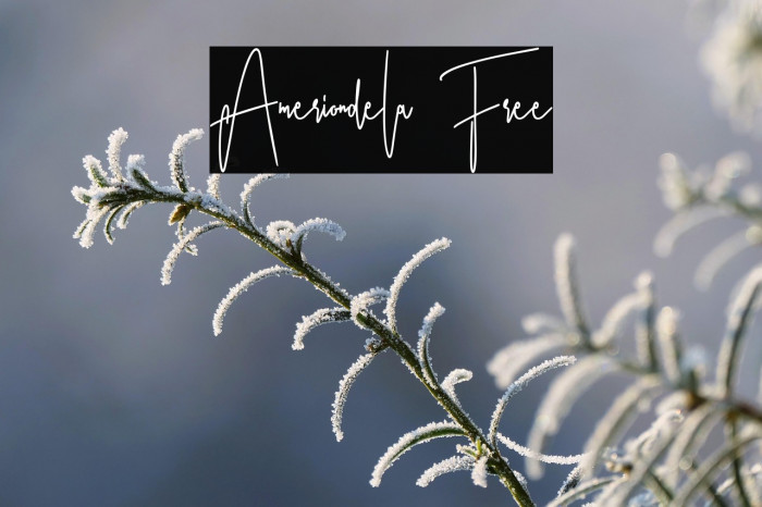 Ameriondela Free Example 3