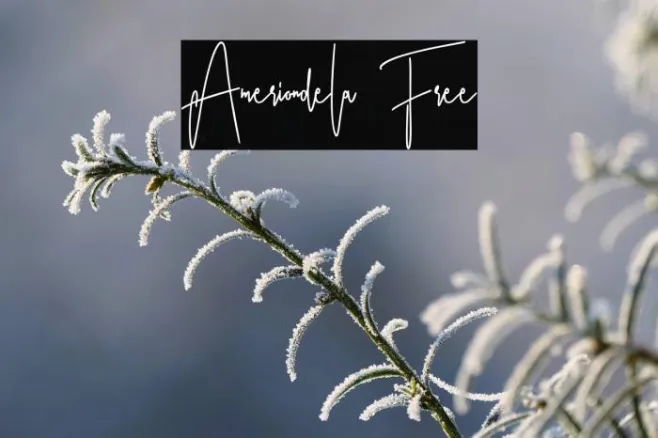 Ameriondela Free Example 3