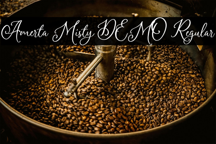 Amerta Misty DEMO Regular Example 1