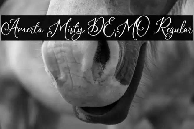 Amerta Misty DEMO Regular Font examples