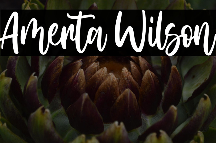 Amerta Wilson Example 1