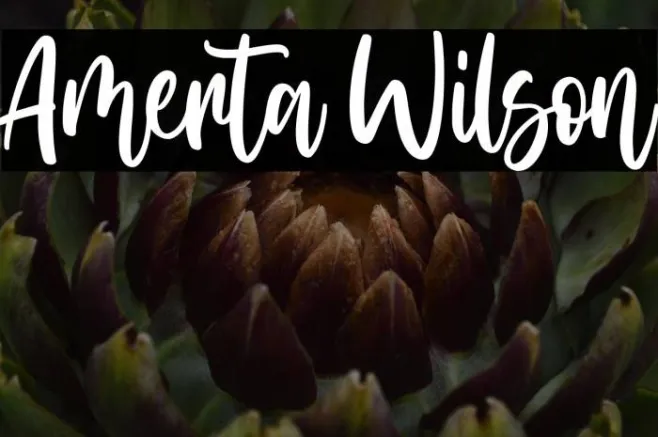Amerta Wilson Example 1