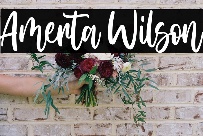 Amerta Wilson Example 2