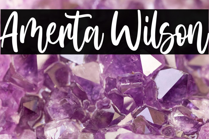 Amerta Wilson Example 3