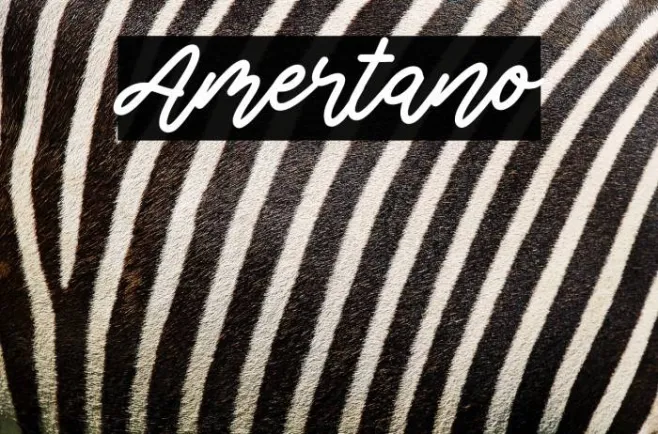 Amertano Example 2