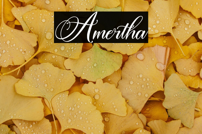 Amertha Example 2