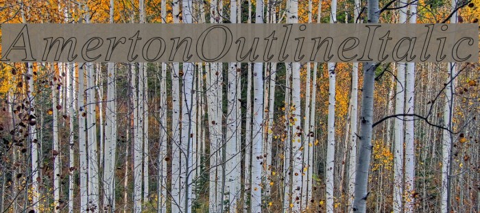 Amerton Outline Italic Font examples