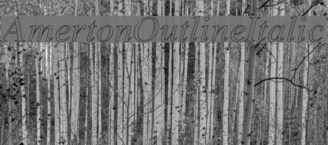 Amerton Outline Italic Font examples