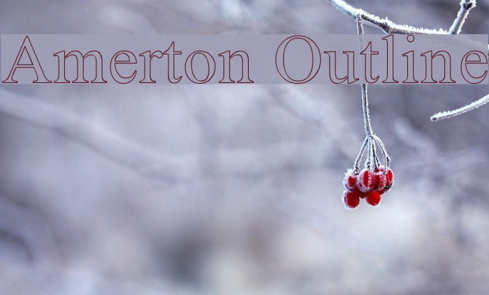 Amerton Outline फ़ॉन्ट examples