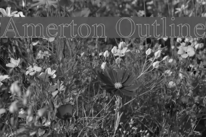 Amerton Outline Font examples