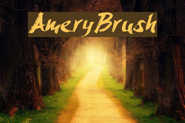 AmeryBrush Font examples