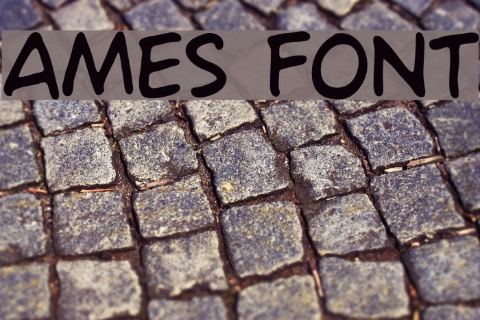 Ames Font examples