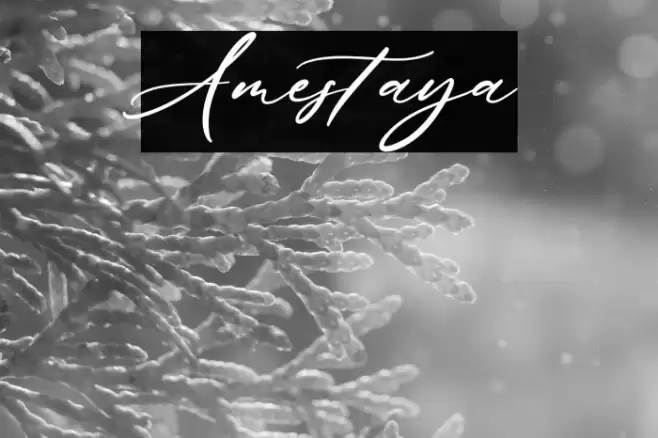Amestaya Font examples