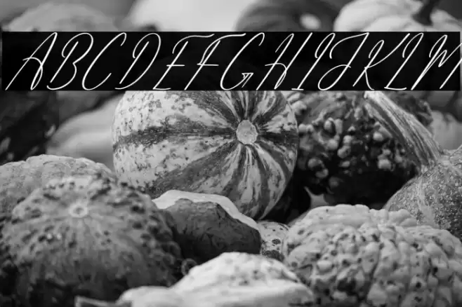 Amethykan DEMO VERSION Italic خط examples