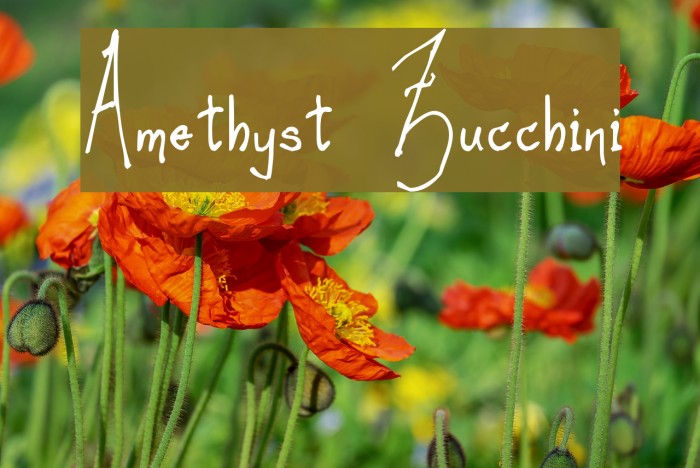 Amethyst Zucchini Font examples