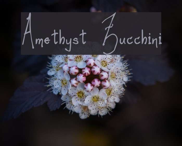 Amethyst Zucchini Font examples