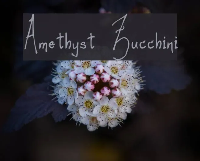 Amethyst Zucchini Example 3