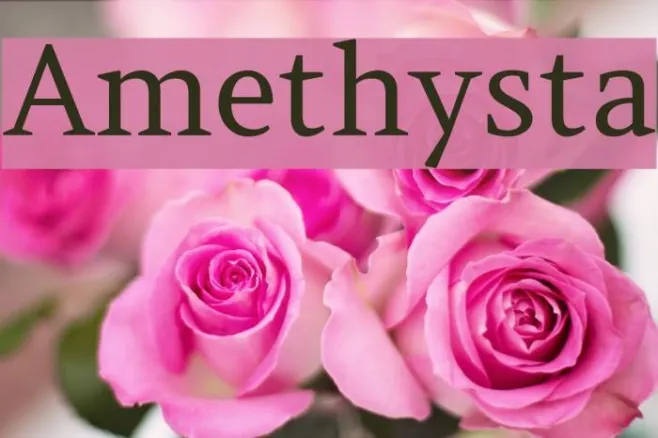 Amethysta Example 1